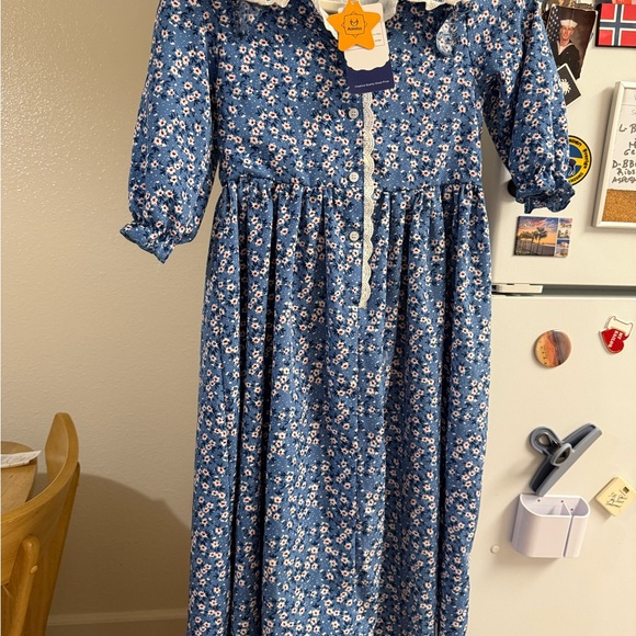 Other - Aoiviss pioneer-style colonial dress